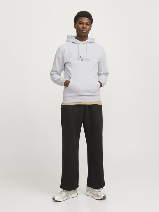 Actual product image Jack & Jones Jcolima Logo Sweat Hood Bfln (L)