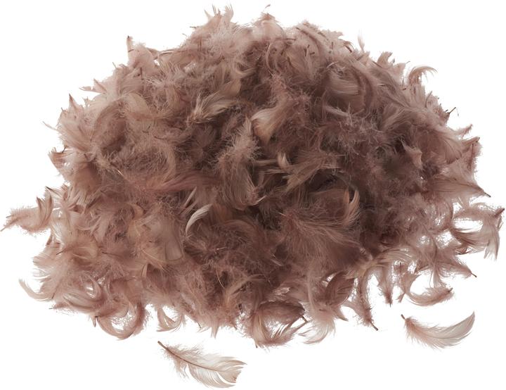 Produktbild VBS Gänsefedern, 20 g