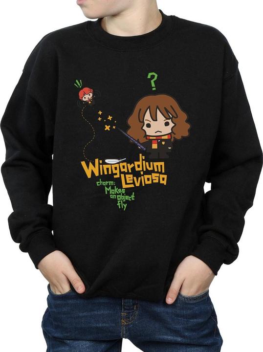 Image du produit - Sweat WINGARDIUM LEVIOSA - Garçon (140, 146)
