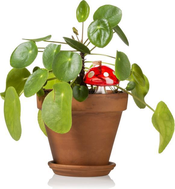 Actual product image Bitten Water Dispenser Toadstool Glass (Irrigation balls)