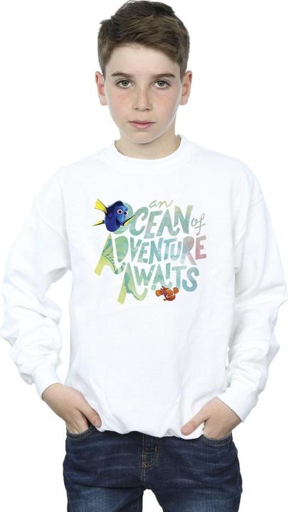 Actual product image Disney Boys Finding Dory Ocean Of Adventure Sweatshirt (104)