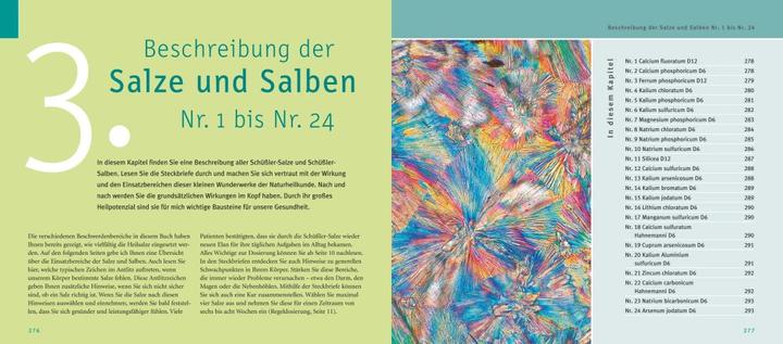 Produktbild Maxi-Quickfinder Schüssler-Salze (Deutsch, Günther H. Heepen, 2015)