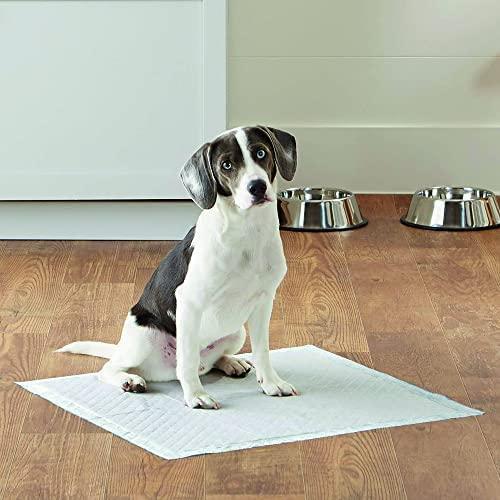 Produktbild Croci Spa SUPER NAPPY Hygienematten 60x90cm, 10 Stk (Hund)