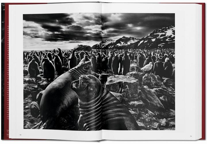 Produktbild Sebastião Salgado. Genesis (Deutsch, Lélia Wanick Salgado, 2013)