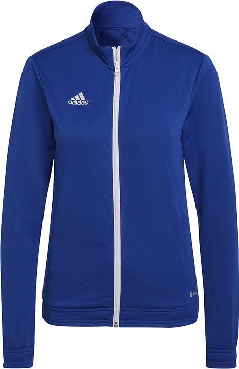Actual product image adidas Entrada 22 women's training jacket (XXL)