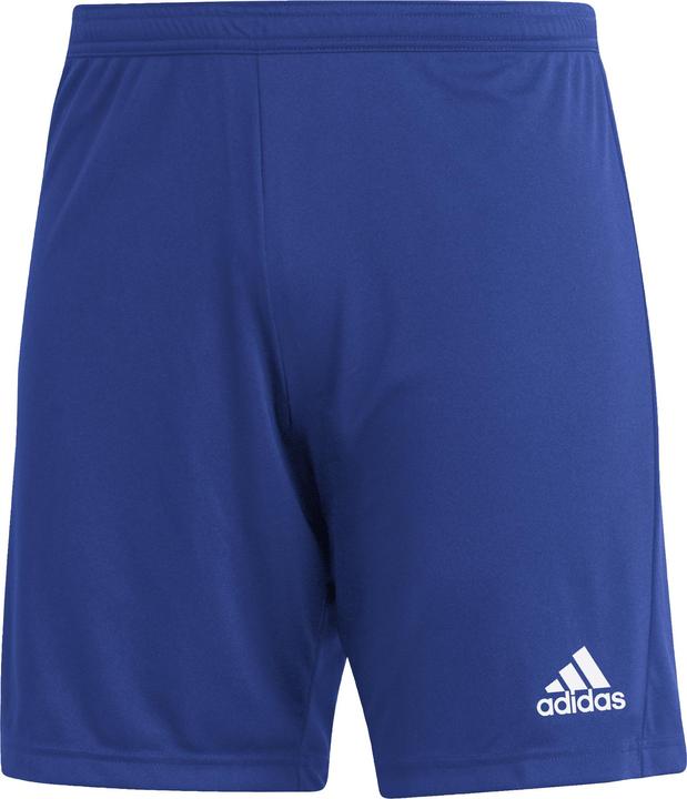 Actual product image adidas Entrada 22 Shorts Men (3XL)