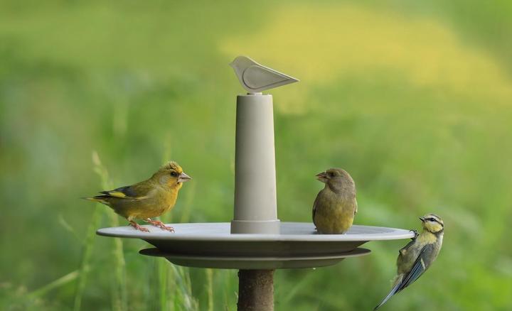 Image du produit Plastia Mangeoire pour oiseaux FINCH taupe