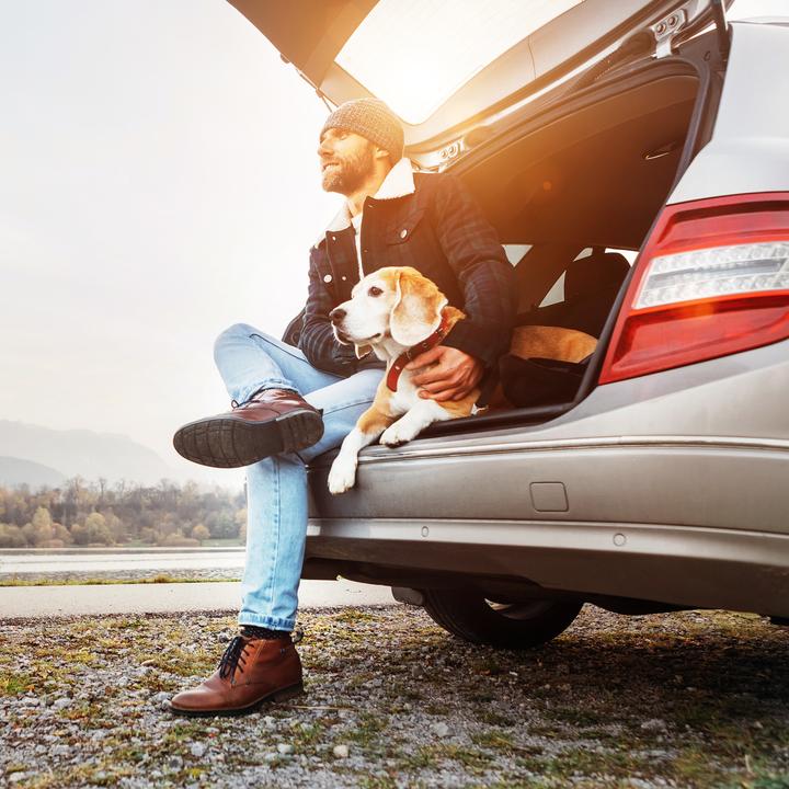 Actual product image Relaxdays Protective Car Seat Cover for Dogs (Dog, Reflectors, Breathable)