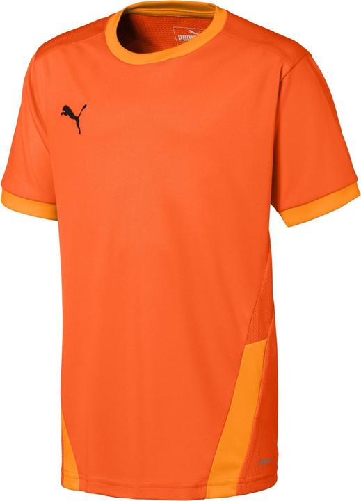 Image du produit Puma teamGOAL 23 Jersey jr-704160 (128)