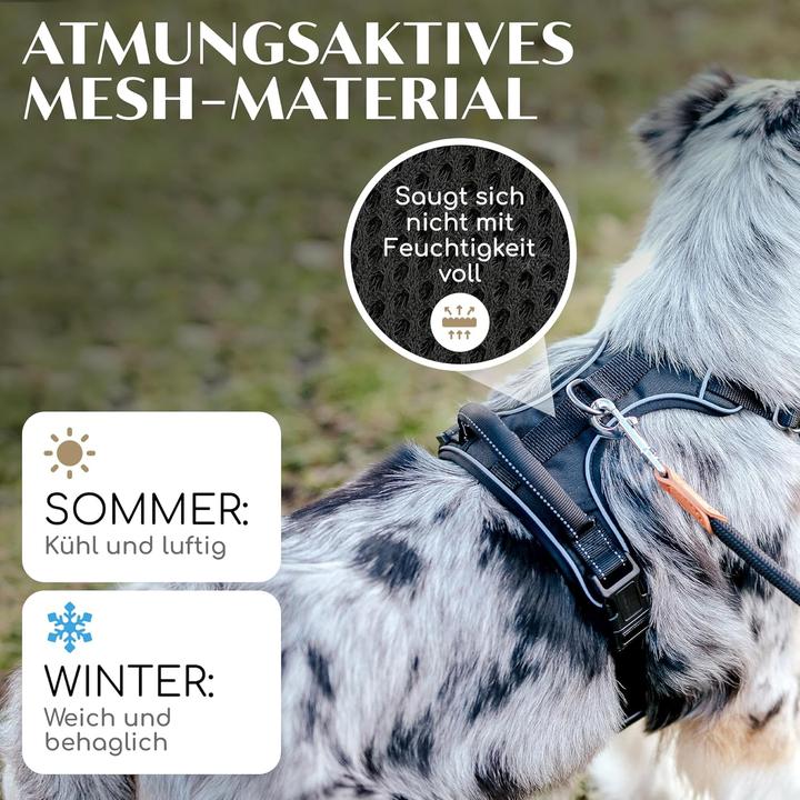 Produktbild Freudentier Hundegeschirr (M, Hund, Allgemein, Spazieren, Jogging, Hundesport)