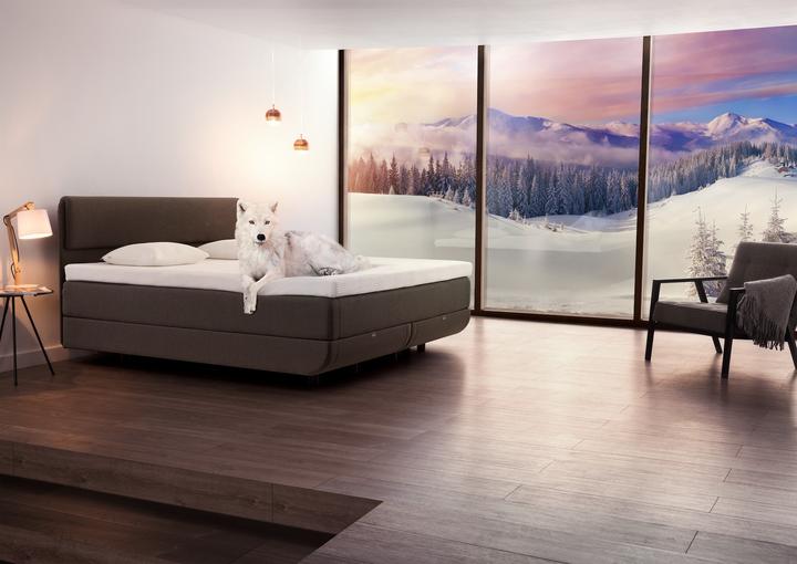 Produktbild Tempur Boxspring Bett North Continental (160 x 200 cm)