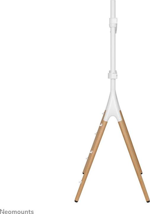 Image du produit Neomounts NM-M1000WHITE (Universel, 70", 40 kg)