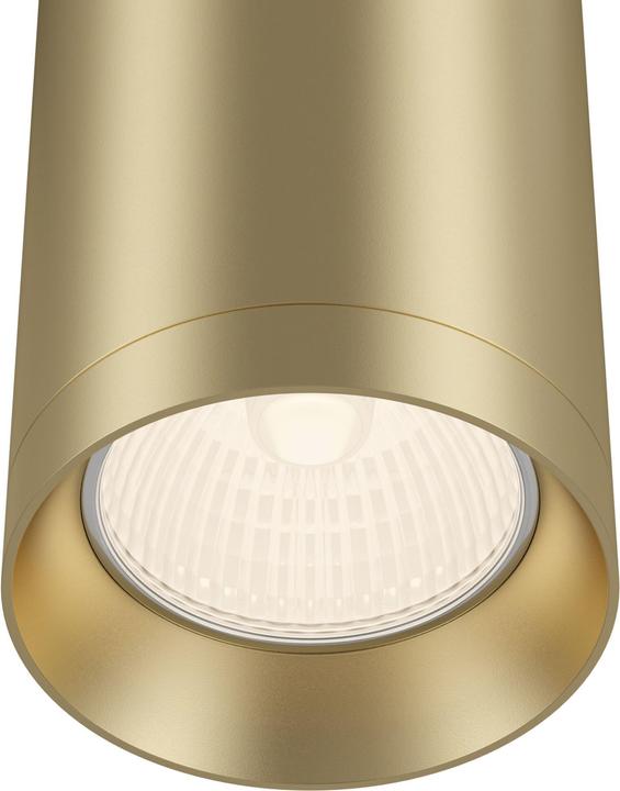 Actual product image Maytoni Shelby (GU10)