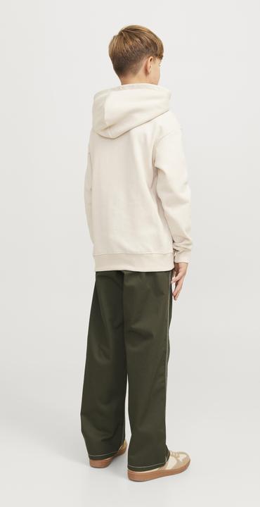 Image du produit Jack & Jones Pantalons classiques Pantalons classiques (164)