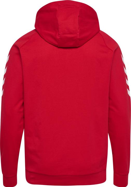 Actual product image hummel Hmlgo Cotton Hooded Jacket Men (M)