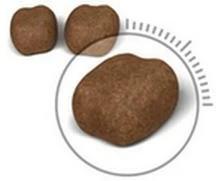 Immagine prodotto Royal Canin Orale sensibile (Adulto, 1 pz., 8000 g)