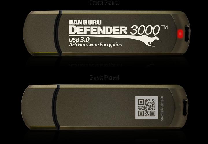 Image du produit iStorage 256GB Kanguru Defender 3000 (256 Go, USB 3.2)