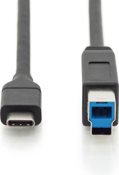 Image du produit Digitus USB C – USB B (1.80 m, USB 3.0)