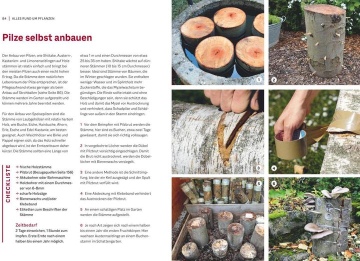 Actual product image Garten-Projekte für Selbermacher (German, Folko Kullmann, 2022)