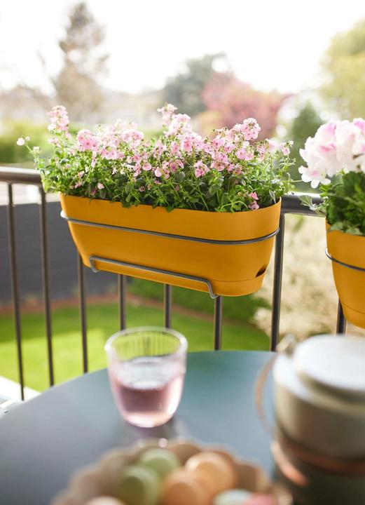 Immagine prodotto Elho Vibia Campana Balcony Box Allin1 (26 cm)