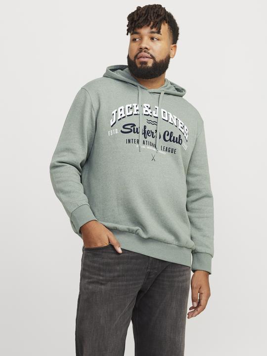 Produktbild Jack & Jones JJELOGO SWEAT HOOD 2 COL 24/25 NOOS PLS (3XL)