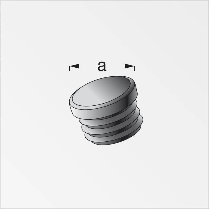 Actual product image Alfer Lamellar plugs