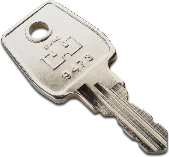 Actual product image Digitus NWSZ Key for DN-19 PHS, Data Center Key No. EK333