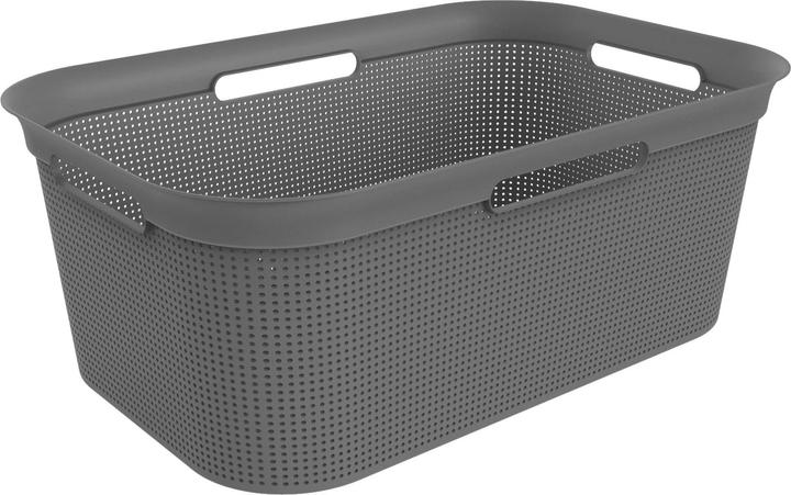 Image du produit Rotho Brises (41 l)