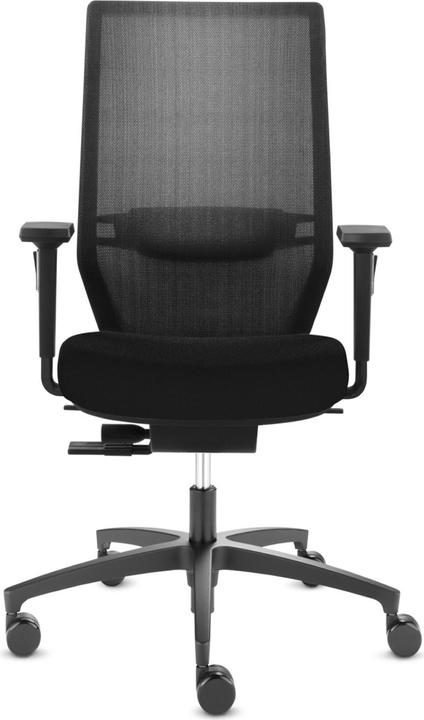 Image du produit Dauphin Maille de forme