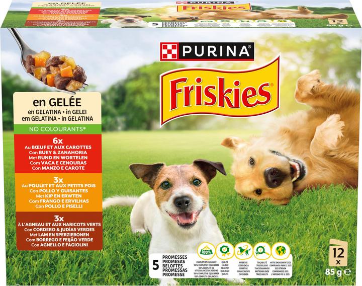Actual product image Friskies In jelly (Adult, 12 pcs., 1160 g)