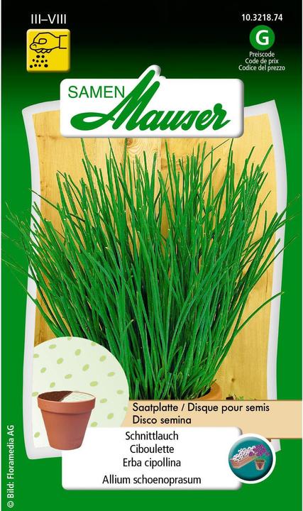 Actual product image Samen Mauser Chives seed plate (Herb seeds)
