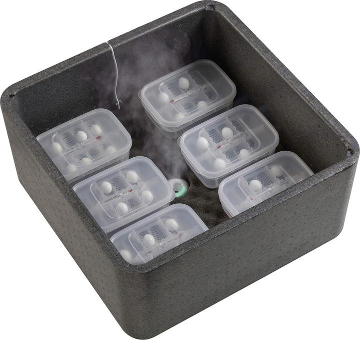 Image du produit Exo Terra Incubateur