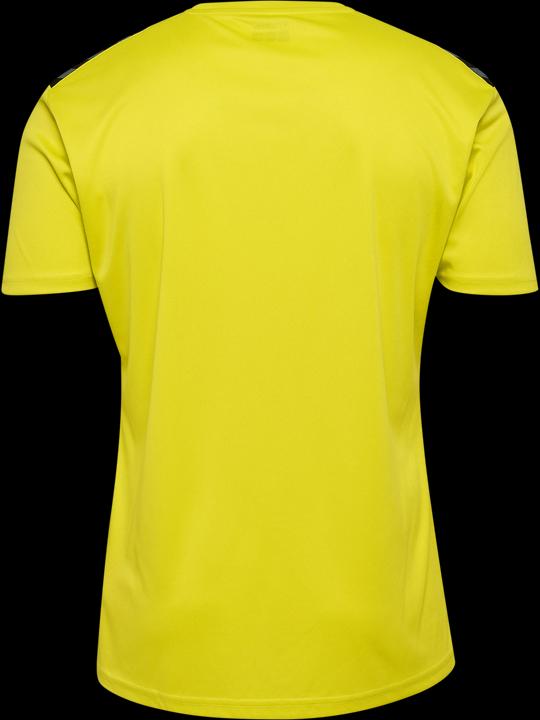 Actual product image hummel Hmlauthentic Pl Jersey S/S (XL)
