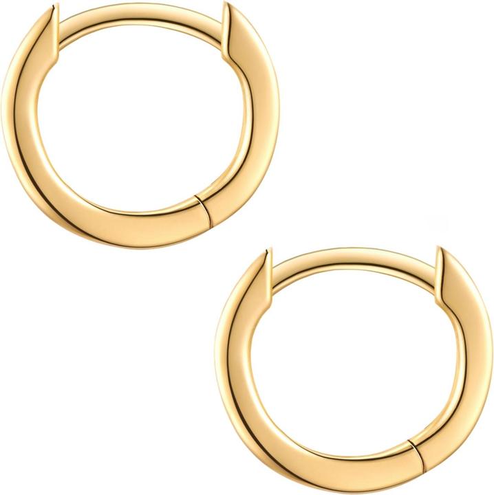 Actual product image Trilani Creoles Zirconia - 33982 (Sterling Silver)