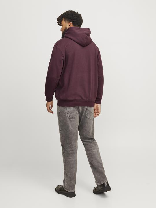 Produktbild Jack & Jones Jjecaleb Varsity Sweat Hood Noos Pls (3XL)