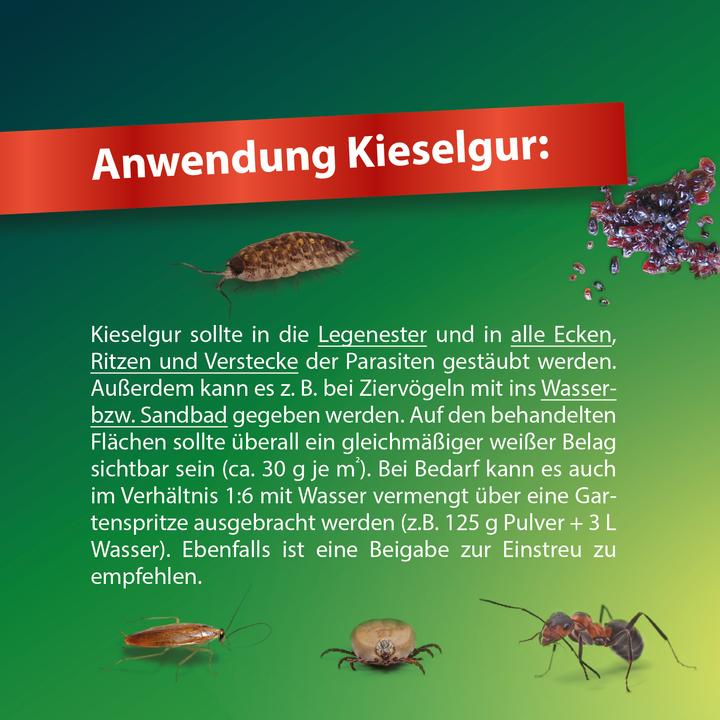 Produktbild Röhnfried Kieselgur