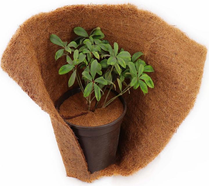 Immagine prodotto Aquagart 4 Kokos Mulchscheiben 30cm Kokofasermatte Kokosfaser Pflanzenschutzmatte Kokos