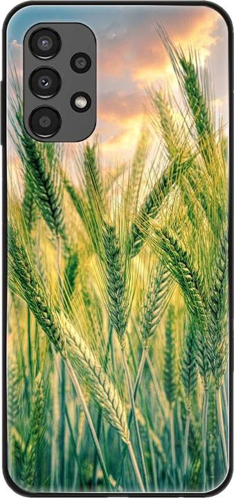 Cornfield