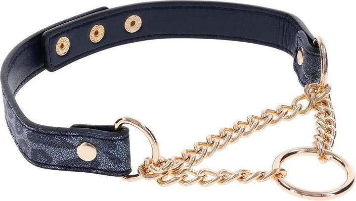 Image du produit Sportsheets cougar day collar