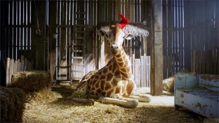Image du produit Plaion Mon amie la girafe (Blu-ray, 2017, Allemand)