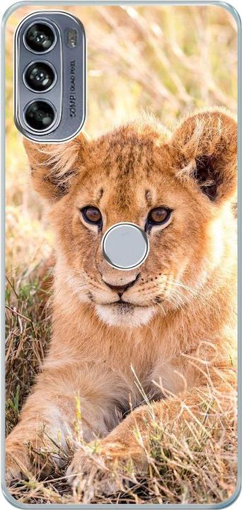 Lions baby