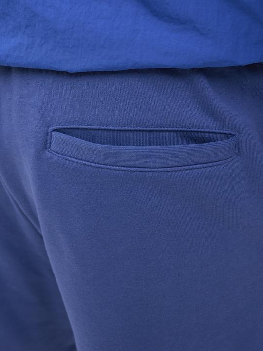 Actual product image Jack & Jones Loose Fit Loose Fit Shorts Loose Fit Shorts (L)