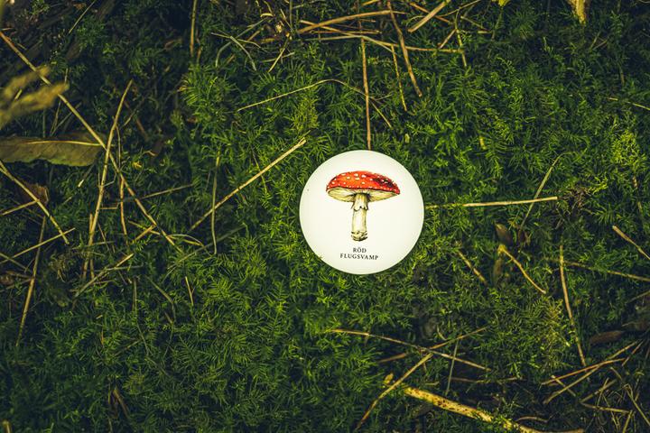 Produktbild Ninja Print Skogen (Memoryspel)