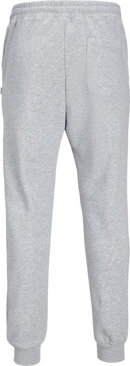 Actual product image Jack & Jones Gordon Bradley Sweatpants (XS)