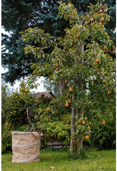Actual product image Colibri Allzweckbehälter Pop-up Jute 56 l, D40xH46 cm (56 l)