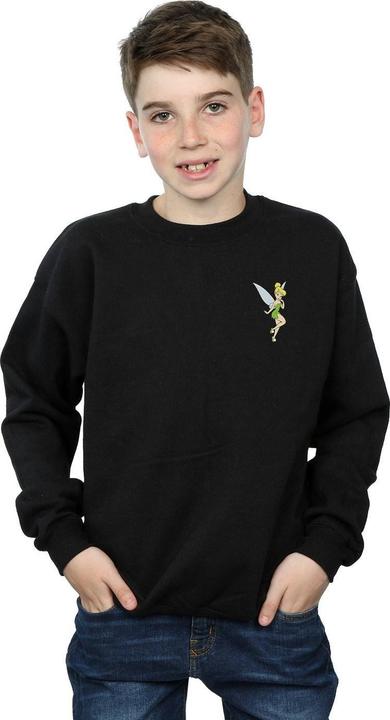 Actual product image Disney Boys Tinkerbell Chest Sweatshirt (128)