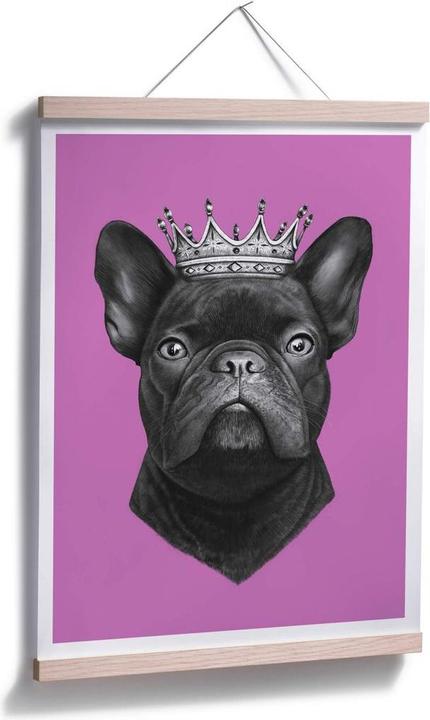 Actual product image Trenddeko King French Bulldog pink (50 x 60 cm)