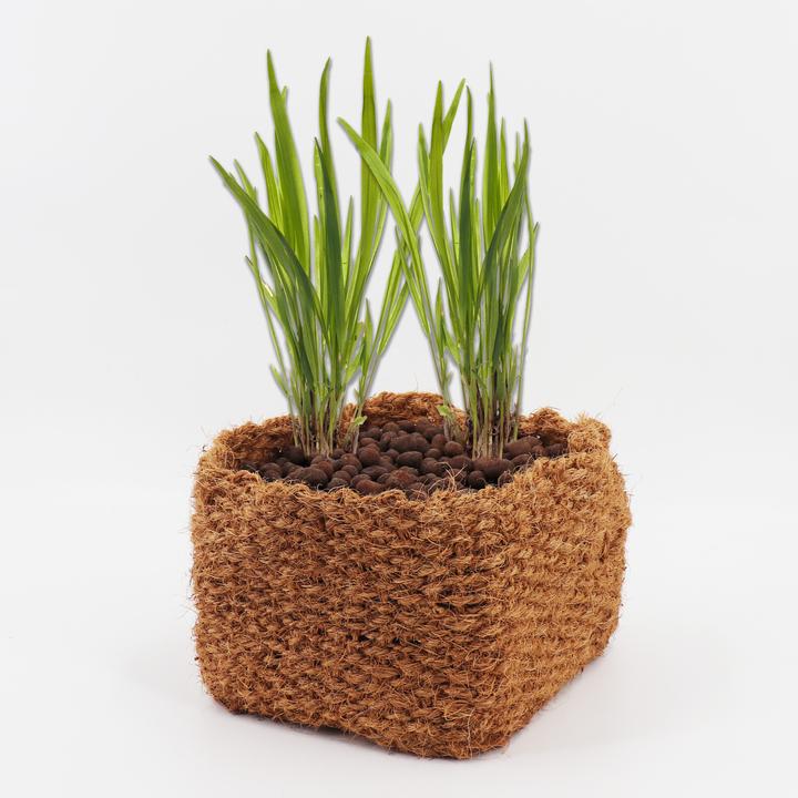 Produktbild Aquagart 3 Kokos Panzkorb 20 x 20 x 15cm Teichkorb für Ufermatte & Böschungsmatte (20 cm)
