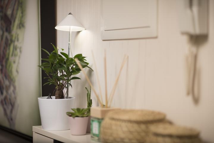 Actual product image Colibri SUNLiTE white (LED, 230 V)
