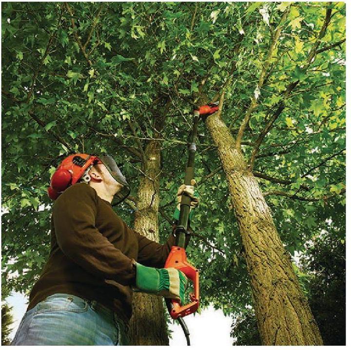Image du produit Black & Decker Ps 7525 (Scie à chaîne électrique)